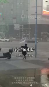 正版天下无局 成大事者 古代雄辩谋略第一书  阳谋/胜天半子/商人三谋/分寸/破阵/破局/博弈论 智慧谋略书。。。