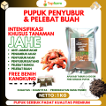 Pupuk Khusus Tanaman Jahe / Pupuk Pembesar Umbi Jahe / Pupuk Untuk Tanaman Jahe / Pupuk Jahe Umbi Besar / Pupuk Jahe Merah / Pupuk Penyubur Tanaman Jahe. 