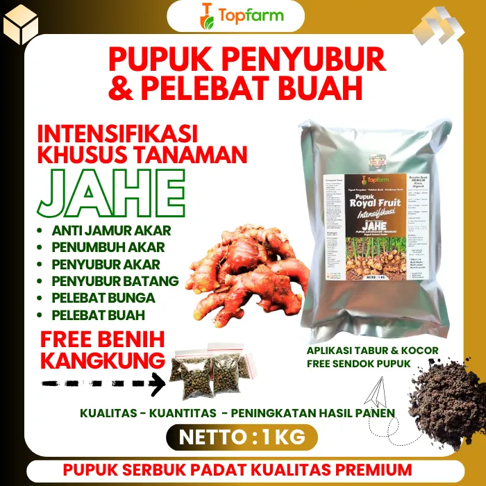 Pupuk%20Khusus%20Tanaman%20Jahe%20/%20Pupuk%20Pembesar%20Umbi%20Jahe%20/%20Pupuk%20Untuk%20Tanaman%20Jahe%20/%20Pupuk%20Jahe%20Umbi%20Besar%20/%20Pupuk%20Jahe%20Merah%20/%20Pupuk%20Penyubur%20Tanaman%20Jahe%20-%20Image%202