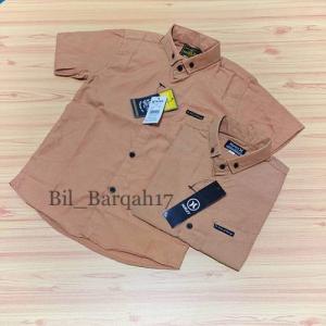 KEMEJA ANAK LAKI-LAKI LENGAN PENDEK/KEMEJA ANAK USIA 1-14THN/KEMEJA ANAK LAKI-LAKI/KEMEJA ANAK TRENDY/KEMEJA ANAK TERBARU 2024/KEMEJA ANAK SLIMFIT/KEMEJA ANAK KUALITAS TERBAIK GRATIS ONGKIR/Bil Barqah17