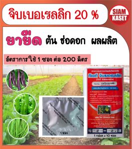 จิบเบอเรลลิก ทีเอที GIBBERELLIC ACID 20%  ยืดต้นแบบเม็ดละลายน้ำ เม็ดใหญ่ (ละลายน้ำได้เลย)  1 ซอง 5 กรัม