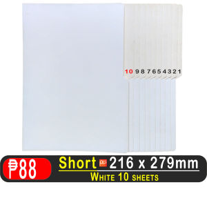 System White File Folders 14pt Heavy Duty (24 Pcs) Short / Long