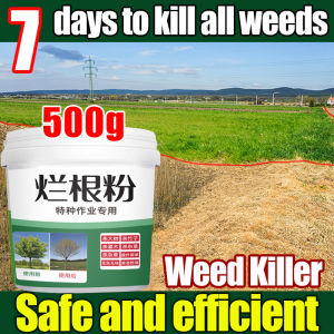 【24-hour shipping】racun rumput sambau paling kuat racun rumput mati akar cepat mati grass killer weed killerracun pokok tabur kayu besar racun tabur racun pokok paling kuat tree killer racun pokok besar racun buluh berkesan serbuk 除草剂 环嗪酮