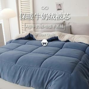 Chăn Lông Cừu Mùa Đông Chăn Lông Cừu Hai Mặt Dày Dặn Giữ Ấm 10 Jin Ký Túc Xá Sinh Viên Đơn Sữa Nhung Chăn Bông