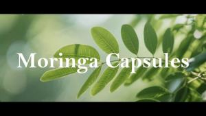 Moringa Capsules – 800mg Pure Moringa Powder Supplement – 60 Capsules for Natural Energy Immune System Skin & Gut Health Support Green Antioxidant Superfood Essential Vitamins & Amino Acids