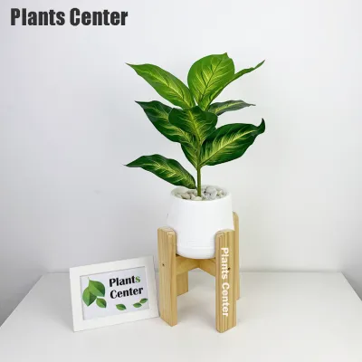 Plants Center ต้นไม้ปลอม 9ใบ สูง 45-55ซม รวมไม้ยอดนิยม ไม้มงคล ตกแต่งบ้าน แต่งสวน P008
