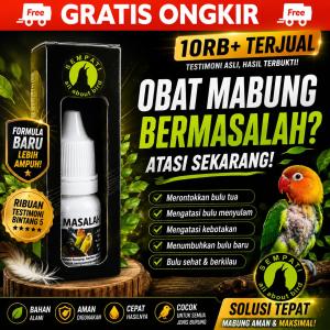 SEMPATI Obat Mabung Bermasalah Sempati Mengatasi Pertumbuhan Bulu Tidak Tuntas Sulit Tumbuh Mempercepat Tumbuh Bulu Baru Untuk Murai Kacer Lovebird Anis Cucak Pleci Dll OBMASEM