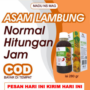 madu herbal asam lambung NS MAG isi 280 gr - madu maag - madu mag - madu lambung