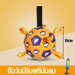 ลูกบอลสุนัข ของเล่นสัตว์เลี้ยง ลูกบอลฝึกหมา ลูกบอล สำหรับสัตว์เลี้ยง บอลหมา Bells อุปกรณ์สัตว์เลี้ยง ฟุตบอลกัด เหมาะกับฝึกเล่นกลางแจ้ง ฟรีที่ปั้มลม