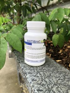 Antibac Max xử lý nhiễm khuẩn lở loét đục mắt thối mang cá cảnh cá Koi