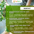 Obat Hama Tanaman Kakao / Obat Semprot Kakao / Obat Fungisida Tanaman Kakao / Obat Buah Kakao / Obat Hama Kakao / Pestisida Tanaman Pohon Kakao. 