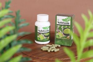 Obat Telapak Kaki Sakit dan Panas Obat Telapak Kaki Kaku Obat Telapak Kaki Kebas Obat Telapak Kaki Kesemutan Obat Sakit Tumit Kaki Obat Nyeri Tumit Obat Radang Tumit Obat Taji Tumit Obat Herbal Sakit Telapak Kaki Dengan Keloreena 50 Kapsul