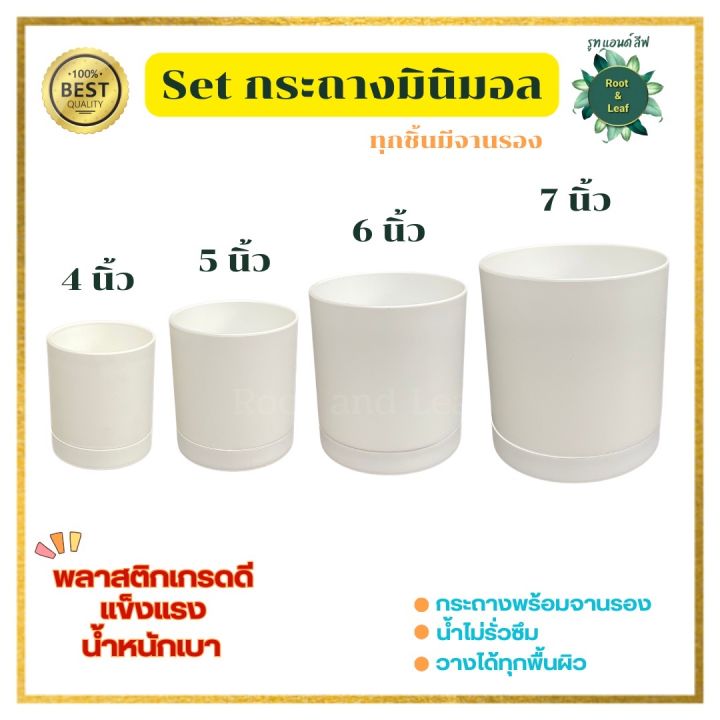10 อันดับ กระถางมินิมอล ยี่ห้อไหนดี? อัปเดตปี 2025 สำหรับแต่งบ้านและสวนสวย