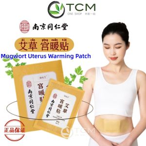 Mugwort Warming Patch x5 艾草宫暖贴暖宫贴5片装