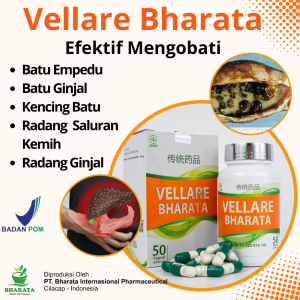 Obat Batu Empedu Batu Ginjal Kencing Batu Vellare Bharata - Obat Anyang-Anyangan dan Gangguan Ginjal