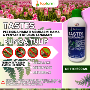 Pestisida Topfarm / Obat Tetes Tikos Bunga Tulip / Obat Tikus Bunga Tulip / Obat Bunga Tulip Terbaik / Pupuk Dan Obat Bunga Tulip / Obat Semprot Bunga Tulip / Obat Khusus Bunga Tulip / Obat Bunga & Hias Hidup