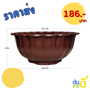 กระถาง อ่างเลี้ยงปลา อ่างบัว อ่างบัวจีบ 20 21 นิ้ว สีขาว สีโอ๊ค Bundle 3 ใบ ชิ้น อัน