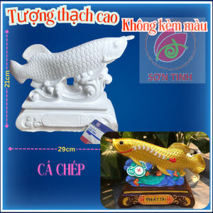 Tượng thạch cao cá chép tài lộc Tô Tượng M8 trang trí Tết (Không kèm màu) Bé Tô Màu Tô Tượng