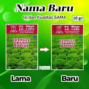 Benih Selada Keriting Hijau GRAND RAPIDS TAFUNG 10 Gram Selada Kribo Selada Tafung Ta Fung