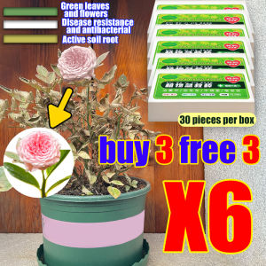 One Stick Can be Used for 90 Days Baja Bunga Super Subur Baja Pokok Universal Nutrition Fertilizer Sticks Semua Baja Garden Fertilizer for All Plants 99.99%Survival Rate Plant Growth Enhancer Bar 慢溶性 棒肥 Baja Stick 施肥片 花树肥 肥料 植物营养棒