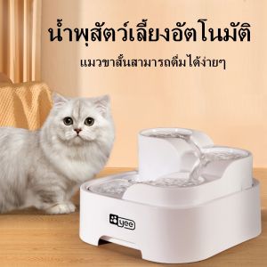 Boqi Factory น้ำพุสัตว์เลี้ยงอัตโนมัติ ระบบกรอง4ชั้น ที่ให้น้ำอัตโนมัติ น้ำพุแมว กรองน้ำแมว JP035