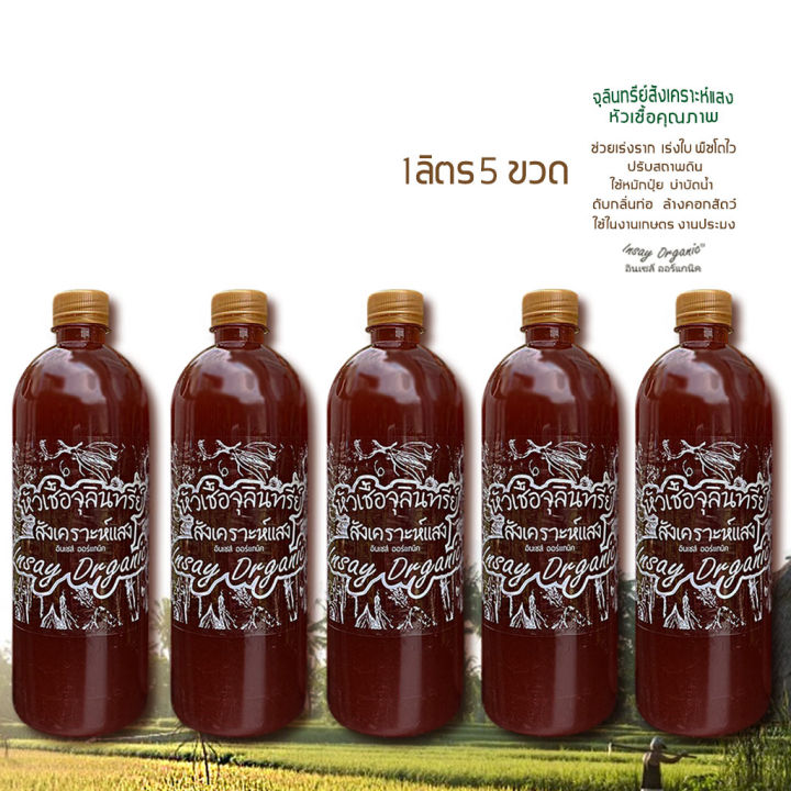 หัวเชื้อจุลินทรีย์สังเคราะห์แสง INSAY ORGANIC 5 ขวด 1 ลิตร