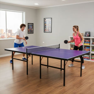 Table Tennis Pingpong Table with post and net without wheels