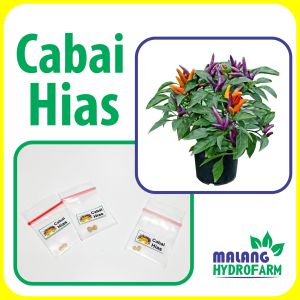 Benih Cabai Hias Unggulan berkualitas cabe pot tanaman biji bibit hydroponik hidroponik warna warni