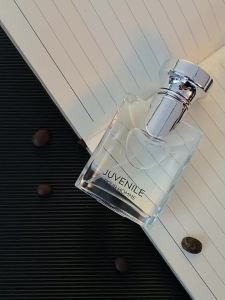 Flower Story Mens Perfume TikTok Hot Sale Factory Direct Shipping Vietnam Perfume Long-lasting Light Fragrance 25ml Gift