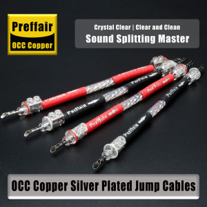 Dây nhảy loa Hifi 4 cái bằng đồng OCC mạ bạc đầu cắm chuối chẻ Y WBT mạ rhodi.