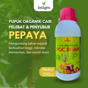 Pupuk Booster Buah Pepaya / Obat Pembesar Buah Pepaya / Pupuk Penyubur Tanaman Buah Pepaya Organik