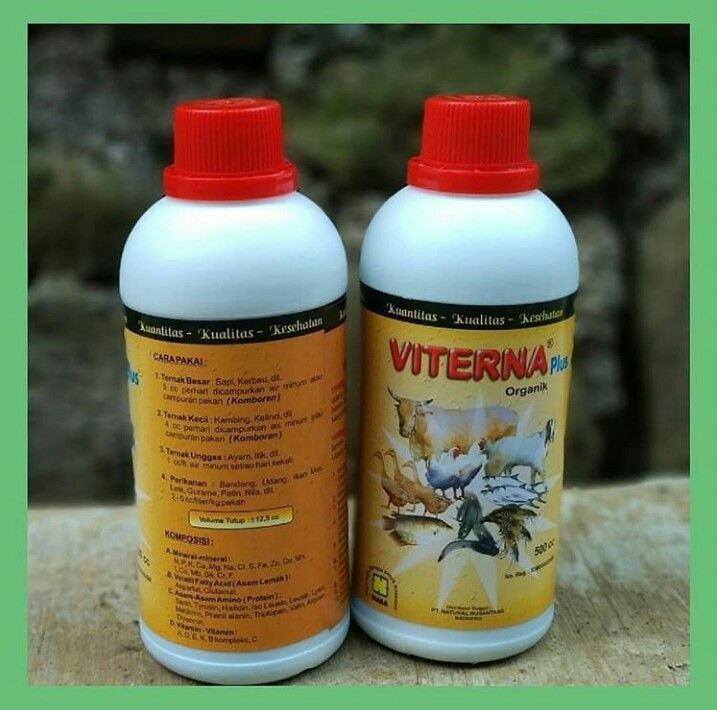 Viterna Nasa Vitamin Ternak Isi Cc Penggemuk Hewan Vitamin Hewan Original Produk Nasa