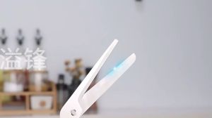 Quivlox 2 In 1 Pizza Scissors Stainless Steel Detachable Kitchen Shears Cutter BBQ Grill Baking Gunting Kek
