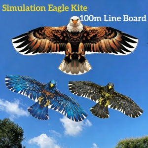 New Simulation Eagle Kite Easy to Fly in Light Wind Large Outdoor Kite with 100m Line Board