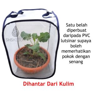 Pop-up Garden Net for Pest Control from Snails Insects Caterpillars Animals Jaring Kebun SHS KEBUN