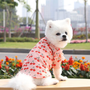 Tay Áo Xếp Nếp Anh Đào Quần Áo Mèo Dễ Thương Đầm Shihtzu Áo Khoác Thoáng Khí Pomeranian Teddy