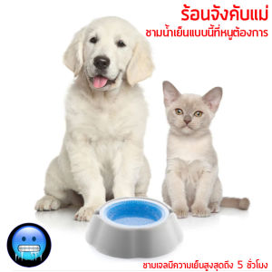 ถ้วยน้ำเย็น หมา แมว และสัตว์เลี้ยงทุกชนิด ชนิดเจลเย็น เย็นเจี๊ยบ ดับร้อน Cooling Bowl