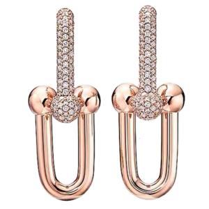 Sophisticated Horseshoe Ear Delicate Horseshoe Pendant Earrings Accessory Perfect For Professionals