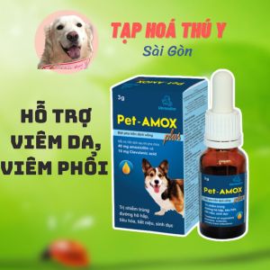PET AMOX PLUS hết tiêu chảy hô hấp giúp lành vết thương ở chó mèo (VMD) - lọ 3g