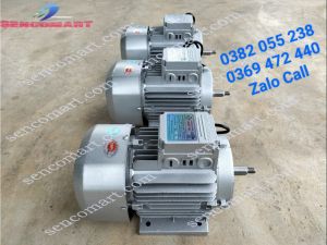 Động cơ điện 15kw( 2hp ) chạy điện 220V 2900v/p dây điện từ bằng đồng 100% bảo hành 12 tháng
