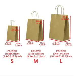 12pcs Assorted Style Christmas Bags with Tag for Wrapping Xmas Holiday Presents Giftaway