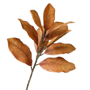 FOUNDTWO 57cm Artificial Magnolia Leaf Branches Real Touch Lifelike Fake Magnolia Plant Flower Arrangement Floral Art Simulated Green Plants Home Office Decor