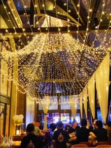 220V Plug-in LED String Light ( 10 M / 20 M / 30 M ) Fairy Light for Indoor and Outdoor Christmas Tree Party Decoration