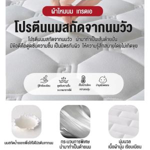 FinesseE ที่นอนหอพักขนาด 3ฟุต 3.5ฟุต 5 ฟุต 6 ฟุต ที่นอนโฟมที่ยอดเยี่ยม Topper Mattress
