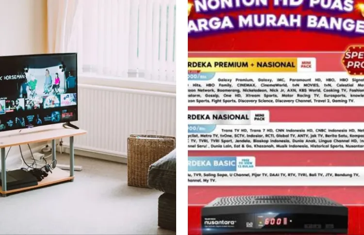 Trans7 Cnn Indonesia Streaming Live RECEIVER TRANSVISION NUSANTARA