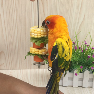 Chim Chủ Parrot Foraging Đồ Chơi Cho Coop Treo Thép Không Gỉ Điều Trị Veggie Xiên Cho Parakeets Cotures