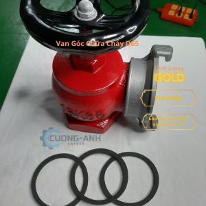 van góc chữa cháy D50 D65 van khóa góc cấp nước cuurs hỏa D50 D65 van khóa nước trụ chữa cháy van khóa lắp tủ cứu hỏa D65 D50 Khóa nước tưới tiêu chất liệu gang đúc hàng có kiểm định chất lượng cao giá rẻ Loại 1