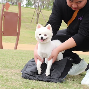 Windproof ấm con chó cho áo khoác cho chó nhỏ Áo khoác cho mùa đông quà tặng cho Pet Quà Tặng Doggie cho áo khoác trang phục cún con
