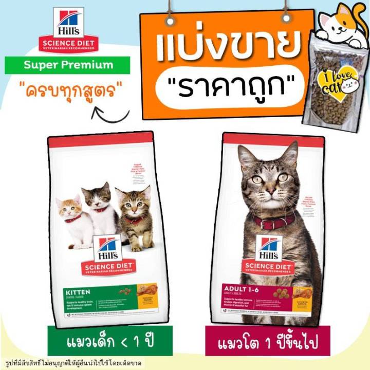 ป้ายยา! 🐱 7 อาหารลูกแมวที่ดีที่สุด เพื่อเจ้าเหมียวตัวน้อยให้เติบโตแข็งแรง (อัปเดต 2025)