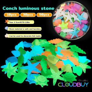 Colorful Luminous Stones Starfish Conch Shaped For Aquarium Walkways Garden Decorative 2-3cm